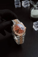 Alexander Ferros 8382D/08