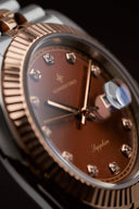Alexander Ferros 8382D/08