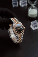Alexander Ferros 8392D/01
