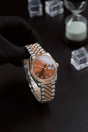 Alexander Ferros 8392D/08