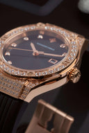 Alexander Ferros 2251FR-01