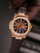 Alexander Ferros 6111R-08