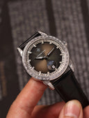 Alexander Ferros 9081S-01