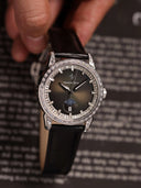 Alexander Ferros 9081S-01